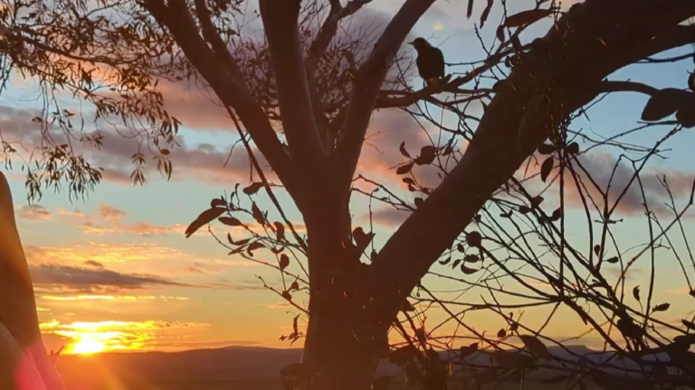 New Music Video on Feast of Creation